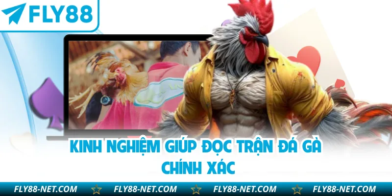 Kinh nghiệm giúp đọc trận đá gà chính xác