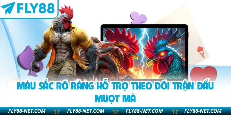Màu sắc rõ ràng hỗ trợ theo dõi trận đấu mượt mà